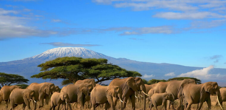 Amboseli