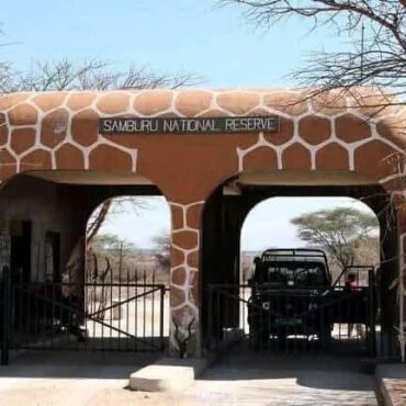 Samburu