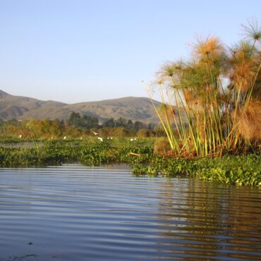 Lake Naivasha